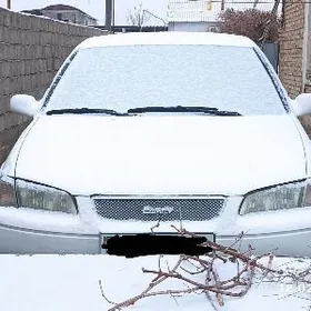 woditel safyor водитель maşyn