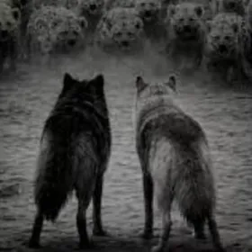 Жалюзи Занавески