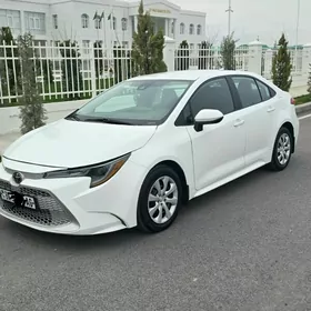 Toyota Corolla 2020