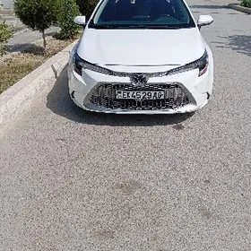 Toyota Corolla 2021