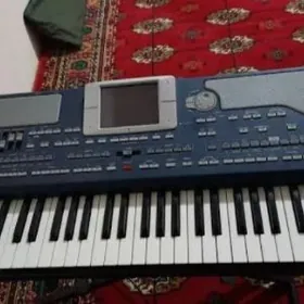 Korg pa800