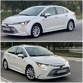 Toyota Corolla 2021