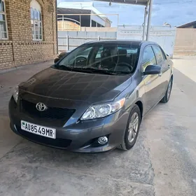 Toyota Corolla 2010