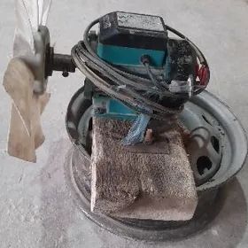 220v elektro divigatel