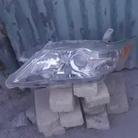 okuz kelle çep fara