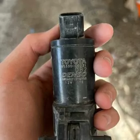 suw bacok nasos morda