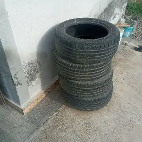 Pakrişka  225 55 17