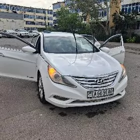 Hyundai Sonata 2011