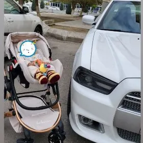 belecco kalyaska коляска ориги