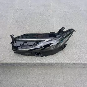 Fara kemry 24-26 2 lupa