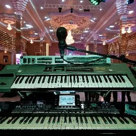 KORG Pa3 D20 Dx21 pauk ustoyka