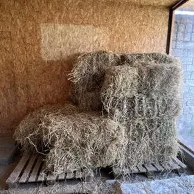 OT. SAMAN. YORUNJA HASHAL.BEDE