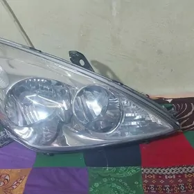 fara es2005sag arginal