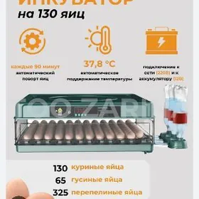 инкубатор- inkubator