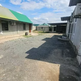 Bagyr Mirewe 10sotak  5komnat