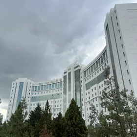 Satlyk elitka Podwoyskiy