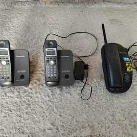 Telefon. Damşny