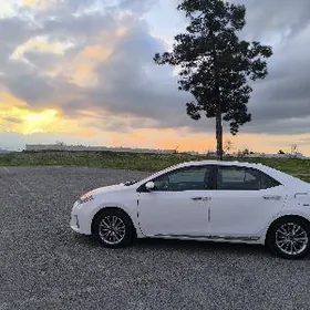Toyota Corolla 2013