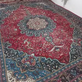 haly belgiskiý, öýe düşek.