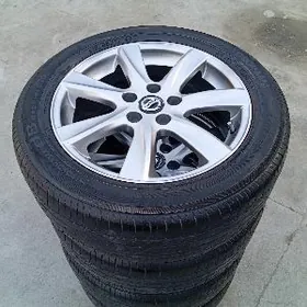 Nissan Dysga pakryşga 17