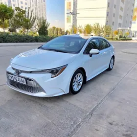 Toyota Corolla 2020