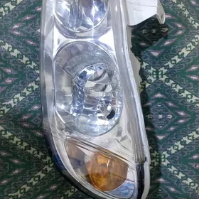 Maksima far cep tarap