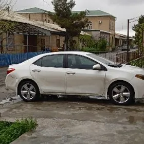 Toyota Corolla 2014