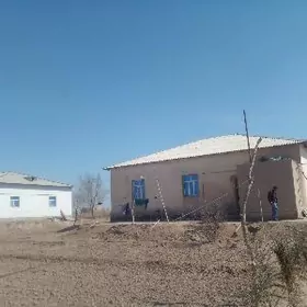 Eyesinden uçaska jay