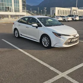 Toyota Corolla 2020
