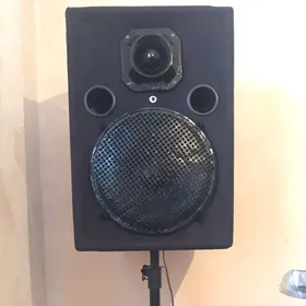 manitor sredni pazuş