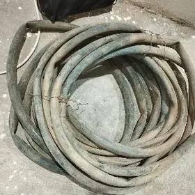 shlanga шланга