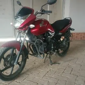 Fekon FK200-14G 2017