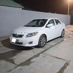 Toyota Corolla 2010