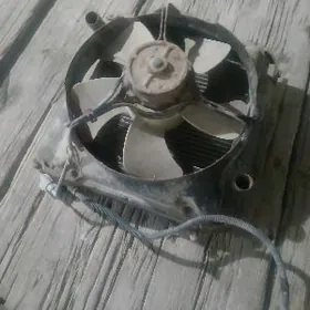 Tayota kocter awtobus