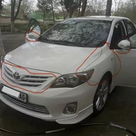 karolla morda haliji