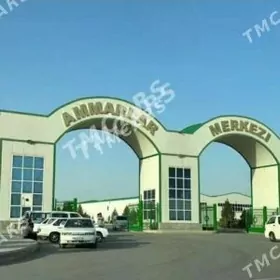 Ammarlar merkezi 720 ²