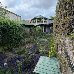 plan jay Botanika 4 Sotka