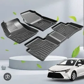 Karolla kowryk 2019.2025