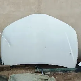 karollan haliji kapot 21