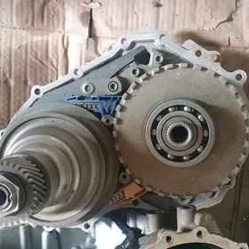 Elantra forte karopga zapjas