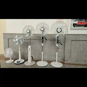 AKKO-STAR Wintelÿato