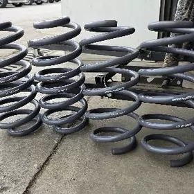 Ford Explorer ST Puržyn Пружин