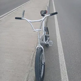 4 dugaly pacja tigur