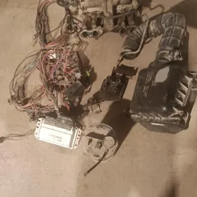 2008 nivan inşekdiri