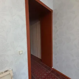 3 gapynyn obshivkasy