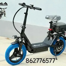 TOKLY SAMAKAT TIGIR MAGAZYN