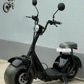 TOKLY SKUTER MATOR TIGIR