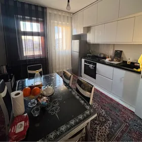 Buzmeyin Gres Taze Ahal 2kom