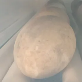 Ýumurtga  Gus   Gaz