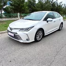 Toyota Corolla 2020